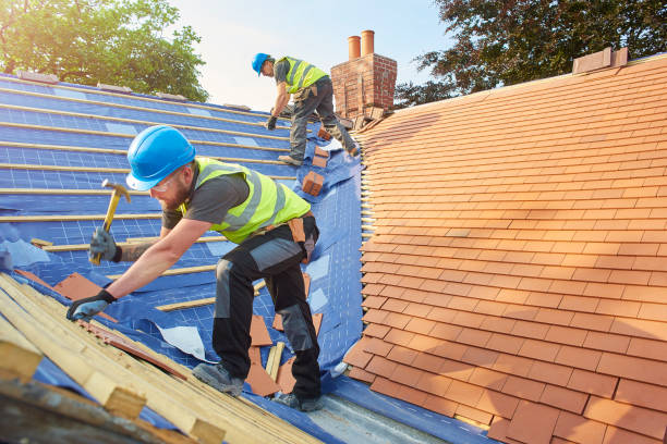 Best Skylight Installation and Repair  in Martinez, CA